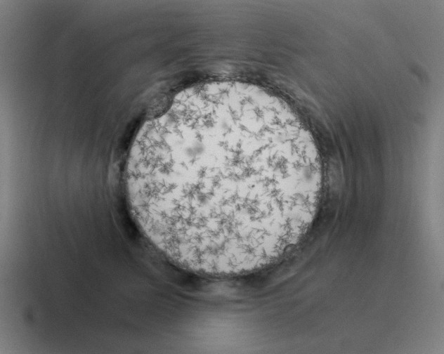 X0000116020611200912312154