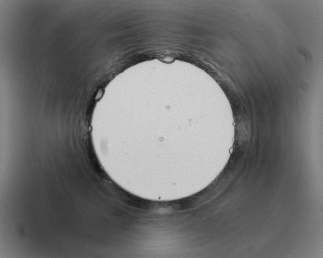 X0000116020613200912312154