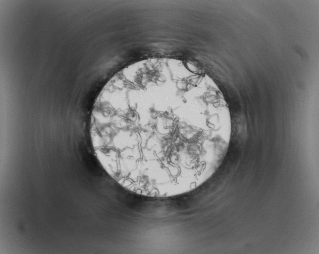 X0000116020615200912312154