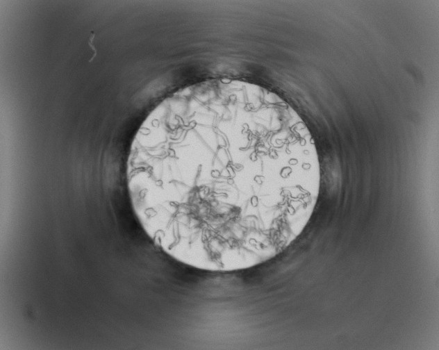 X0000116020619200912312154