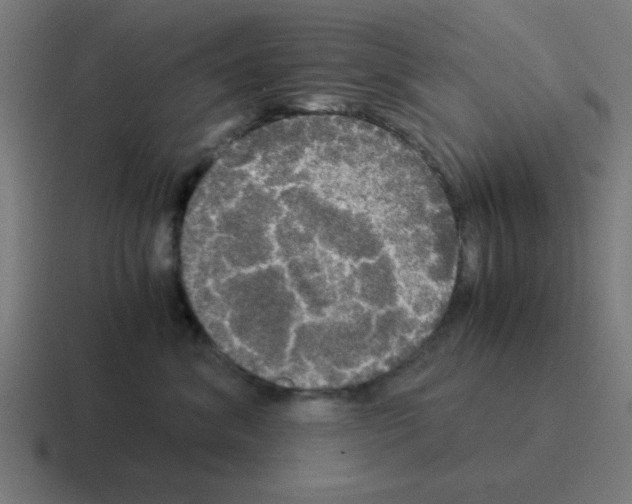 X0000116020620200912312154