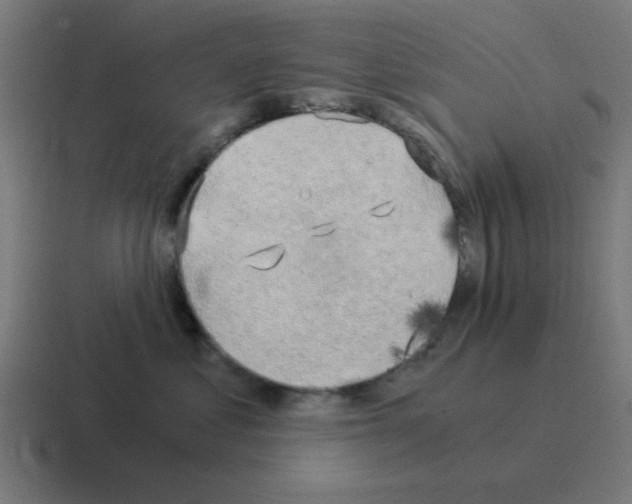 X0000116020621200912312154