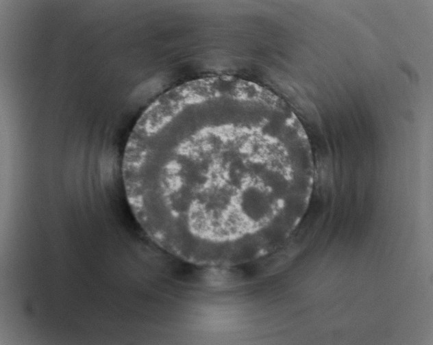 X0000116020623200912312154