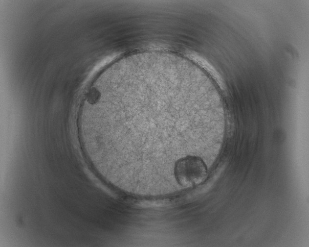 X0000116020625200912312153