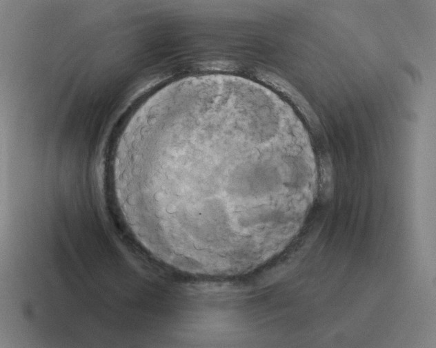 X0000116020626200912312153