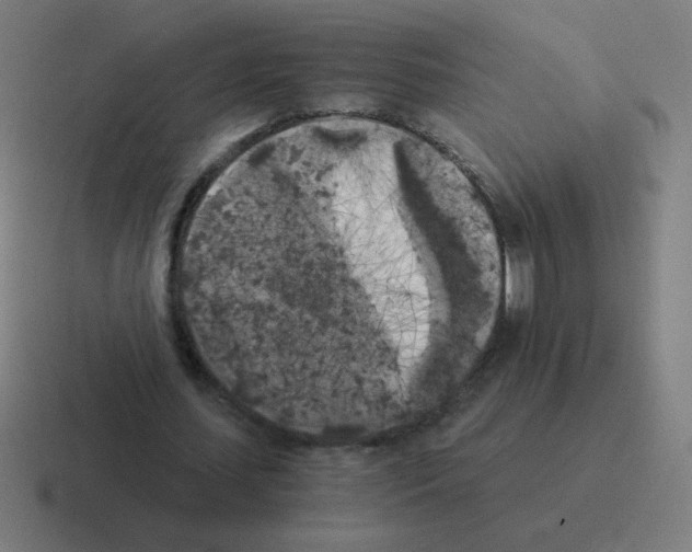 X0000116020627200912312153