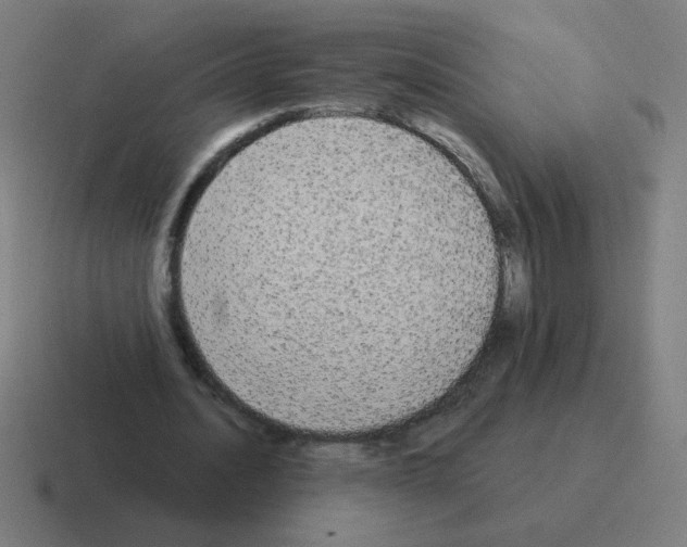 X0000116020628200912312153