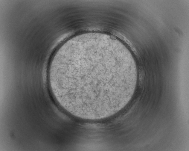 X0000116020629200912312153