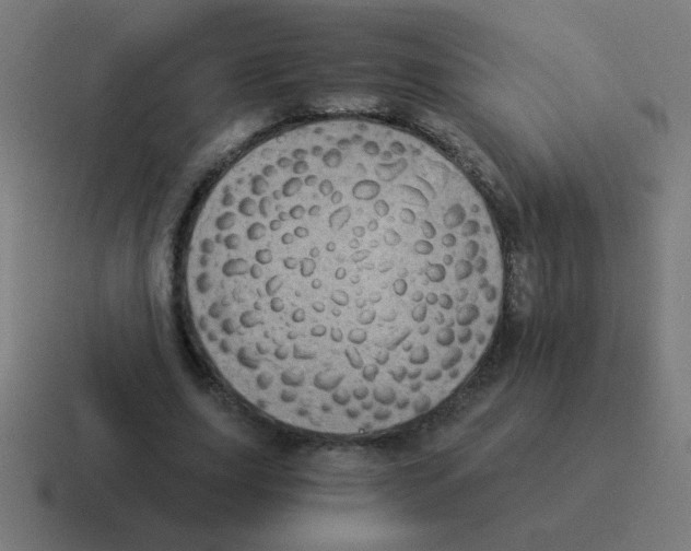 X0000116020631200912312153