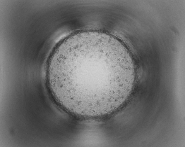 X0000116020632200912312153