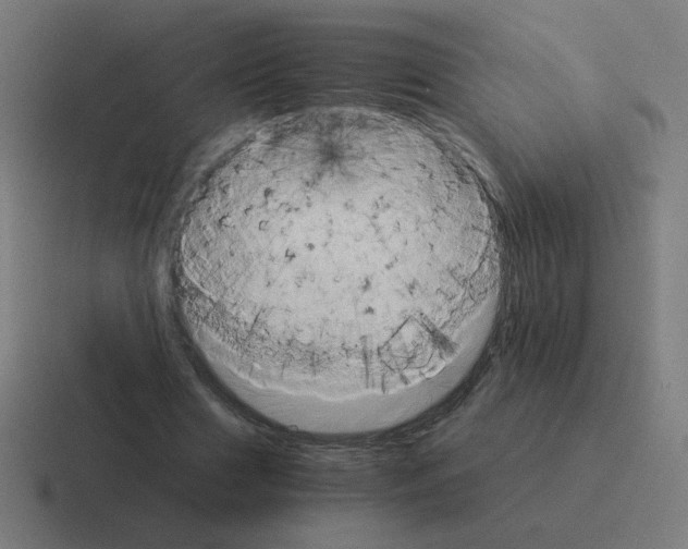 X0000116020633200912312153