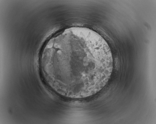 X0000116020634200912312153