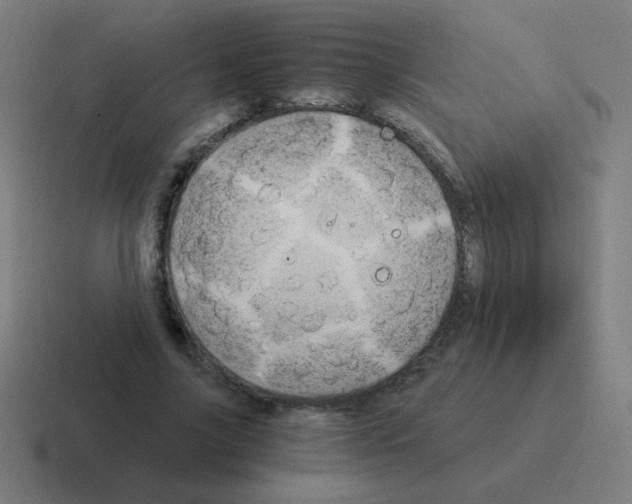 X0000116020635200912312153