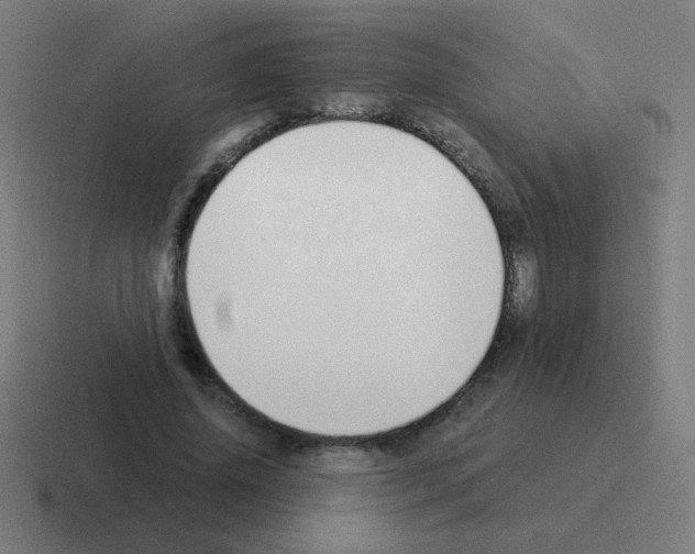 X0000116020636200912312153