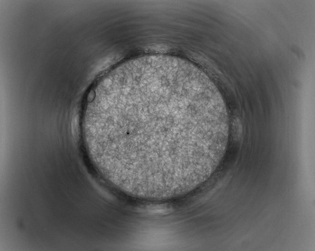 X0000116020638200912312153