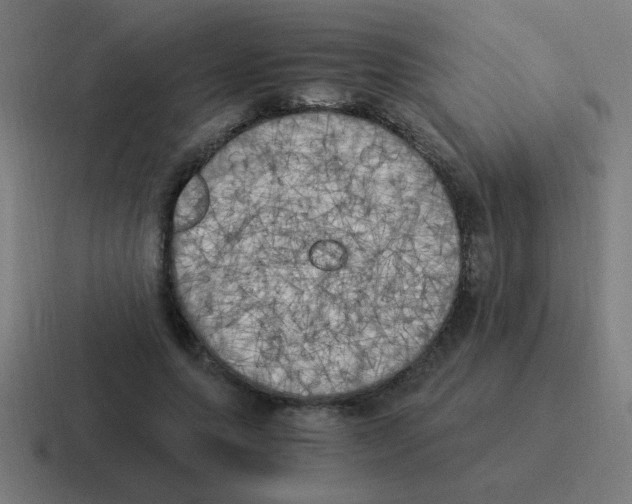 X0000116020639200912312153