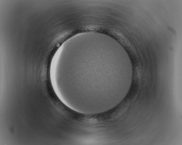 X0000116020640200912312153