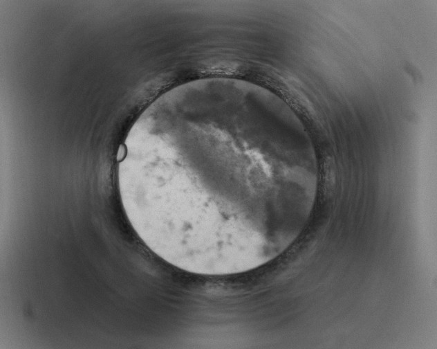 X0000116020641200912312153