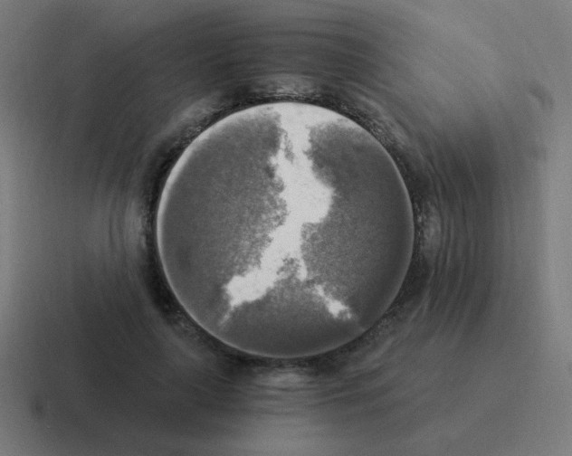 X0000116020643200912312154