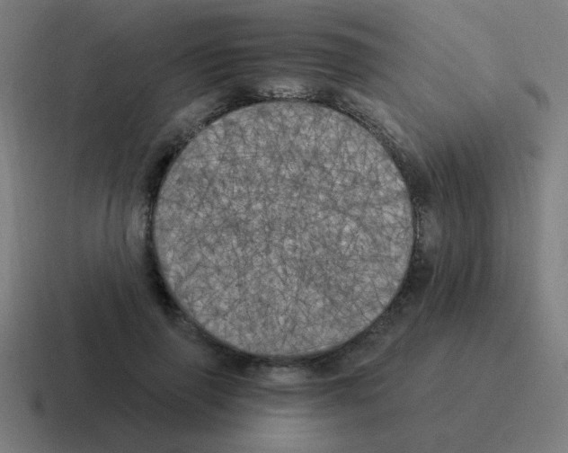 X0000116020645200912312154