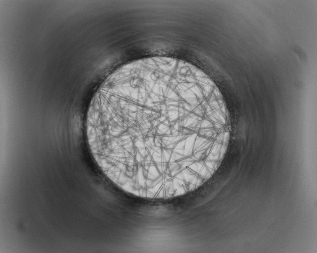 X0000116020646200912312154