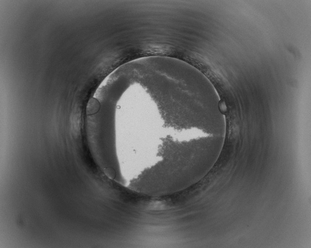 X0000116020647200912312154