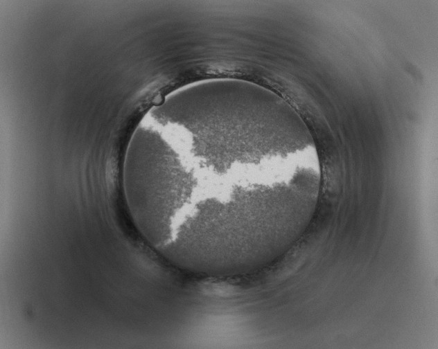 X0000116020648200912312154