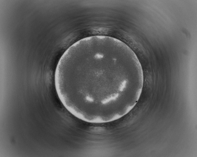 X0000116020649200912312154