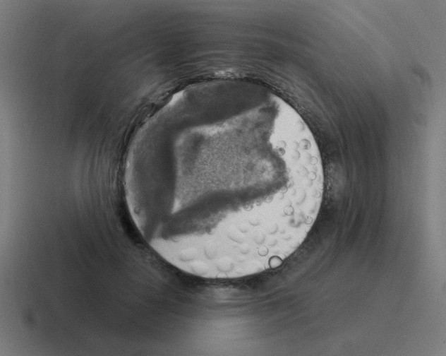 X0000116020650200912312154