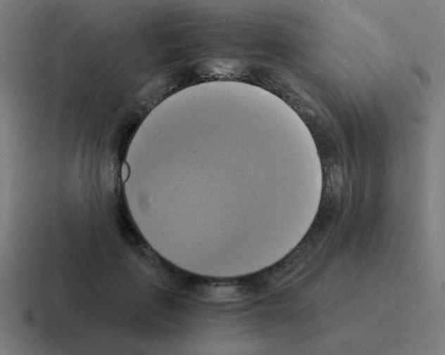 X0000116020651200912312154