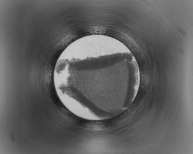 X0000116020652200912312154