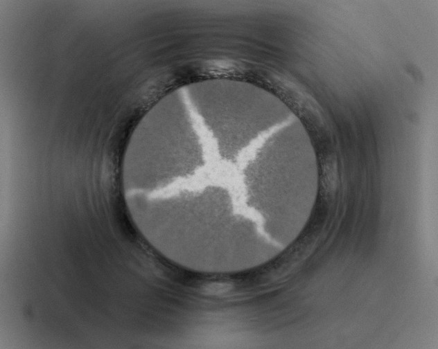 X0000116020653200912312154