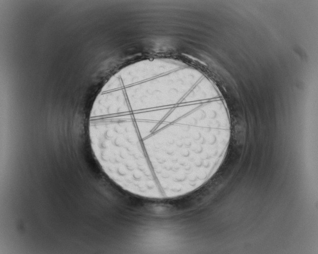 X0000116020654200912312154