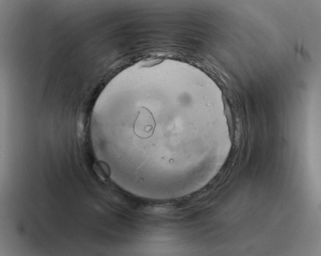 X0000116020655200912312154