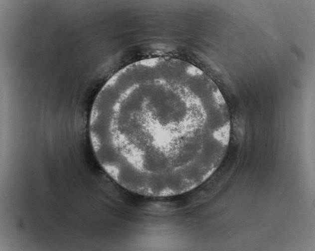 X0000116020657200912312154