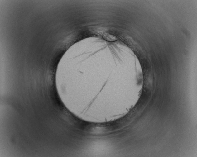 X0000116020658200912312154