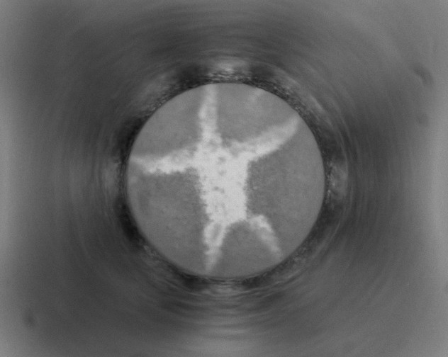 X0000116020659200912312154