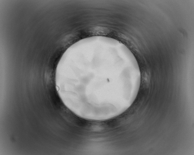 X0000116020663200912312154