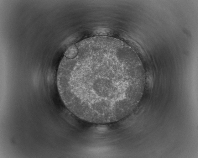 X0000116020665200912312154