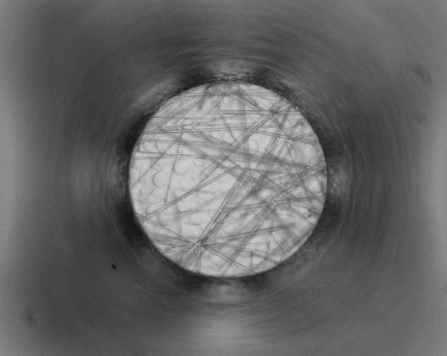 X0000116020666200912312154