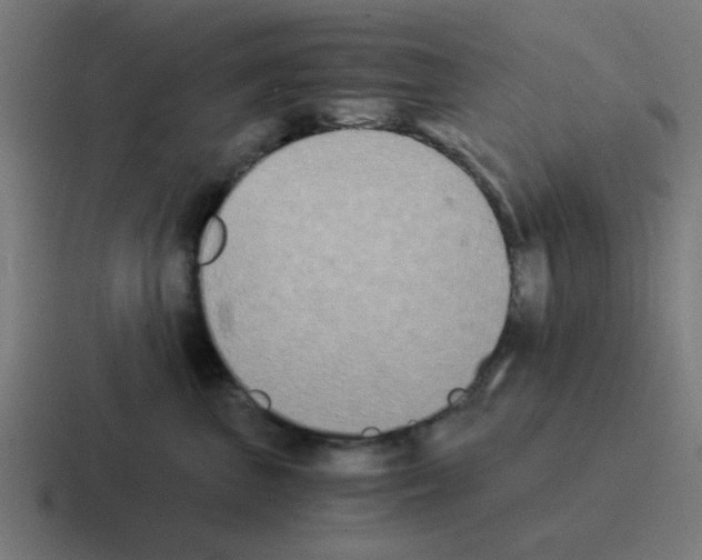 X0000116020667200912312154