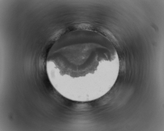 X0000116020669200912312154