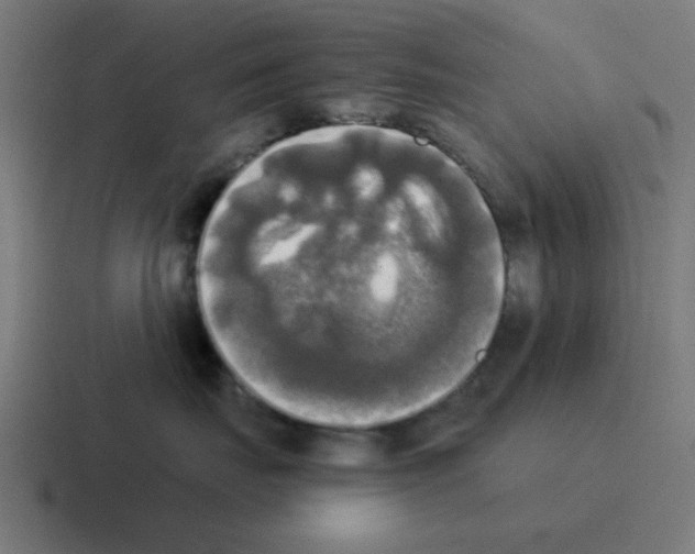 X0000116020671200912312154