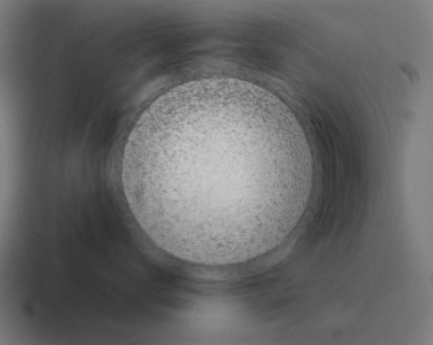 X0000116020672200912312154