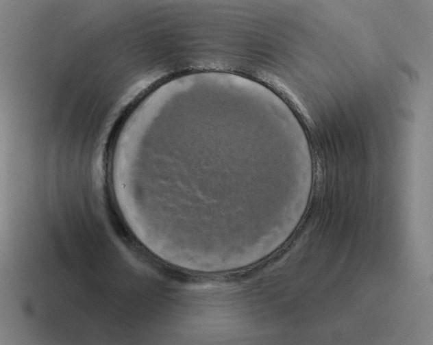 X0000116020674200912312153