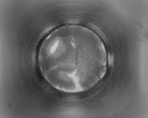 X0000116020675200912312153