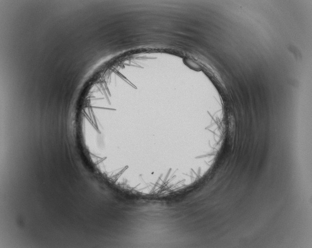 X0000116020676200912312153