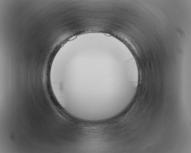 X0000116020677200912312153