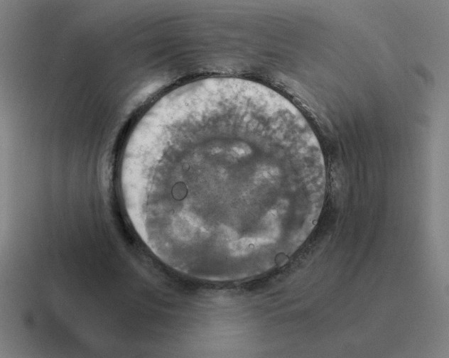 X0000116020679200912312153