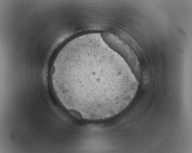 X0000116020680200912312153